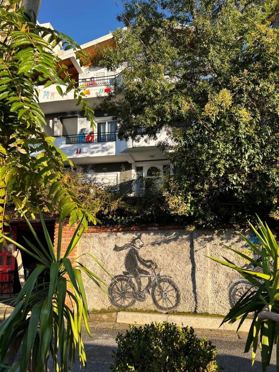 Divina Hostel Tirana Exterior photo